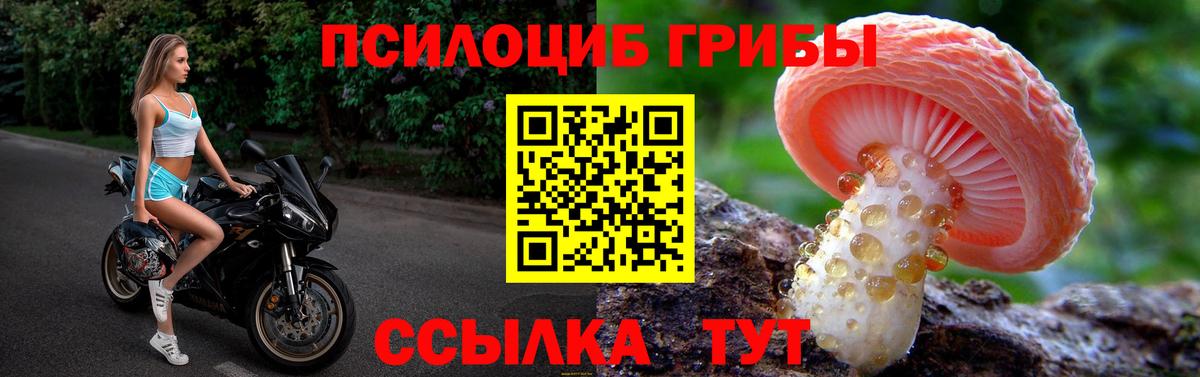 где купить   Псилоцибиновые грибы GOLDEN TEACHER  Кушва  Вход с VPN  Псилоцибиновые грибы Cubensis 